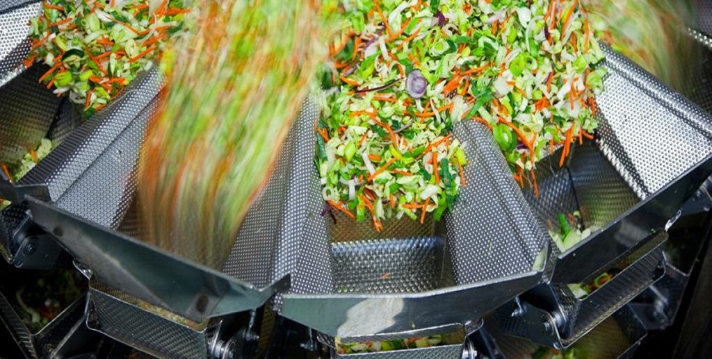 Pesatrice multitesta